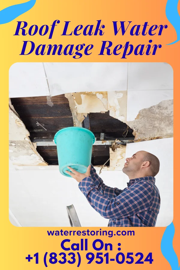 Roof Leak Water Damage Repair in Dousman, WI