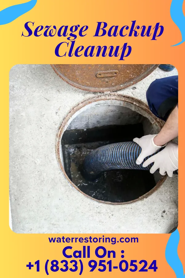 Sewage Backup Cleanup in Dousman, WI